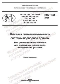 ПНСТ 565-2021
