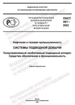 ПНСТ 591-2022