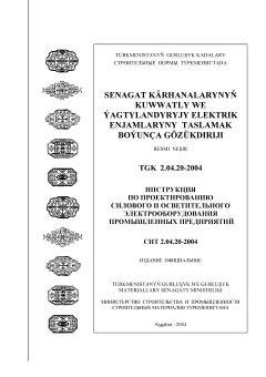 СНТ 2.04.20-2004